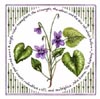 Violets