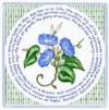 Morning Glories