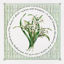 Paperwhite Narcissus