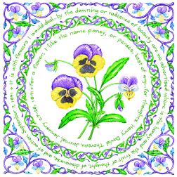 THOREAU'S PANSY