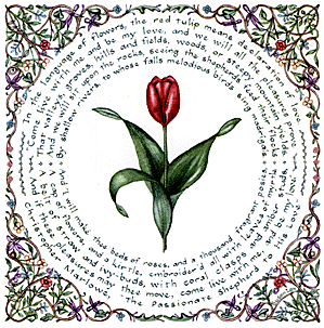 Red Tulip: Declaration of Love